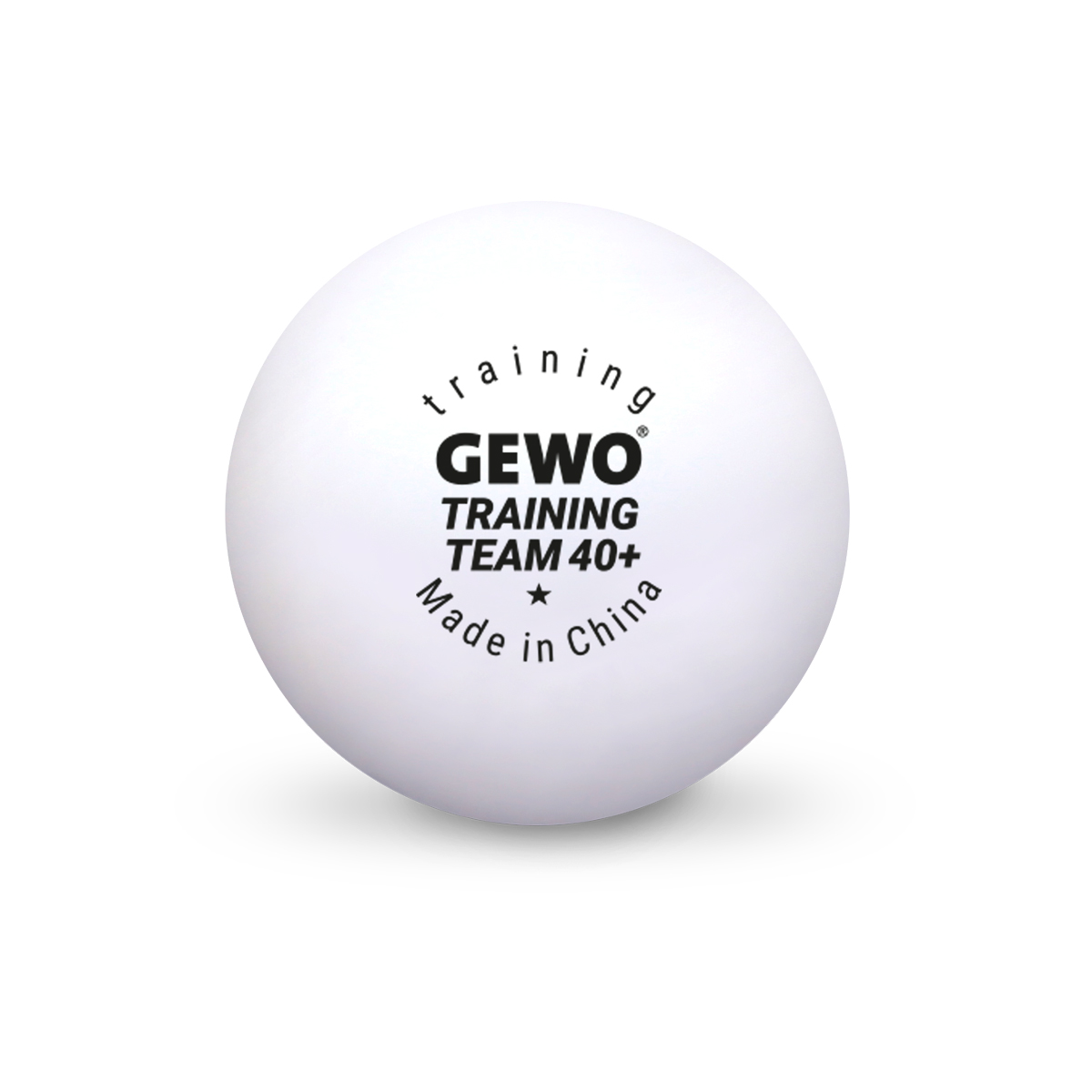 GEWO Ball Training Team 40+