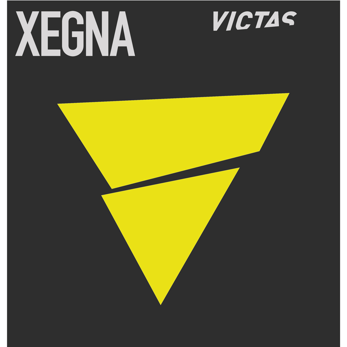 VICTAS Belag Xegna – Bild 2