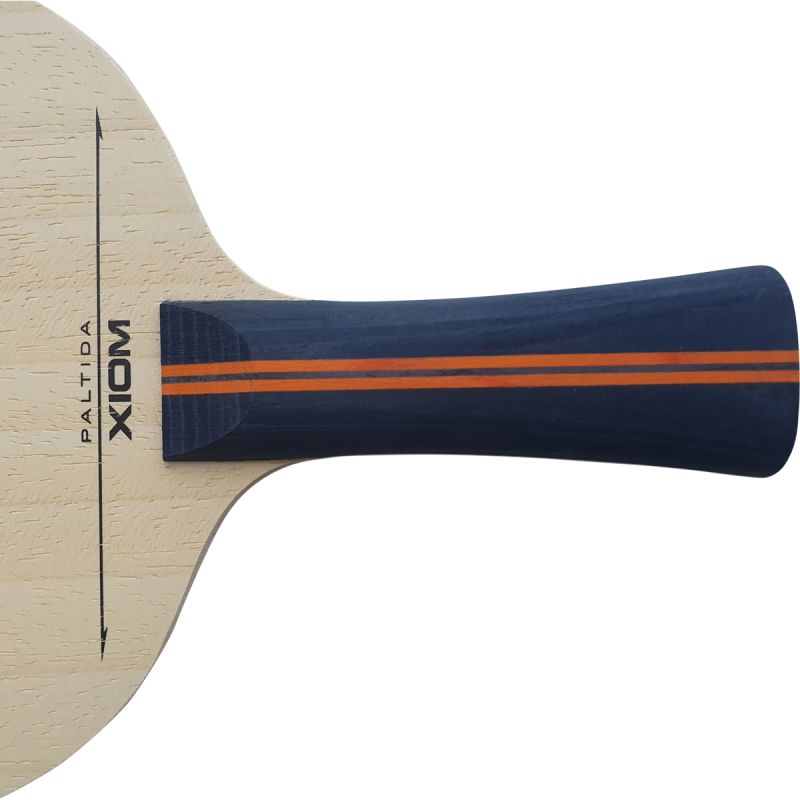 XIOM Holz Paltida – Bild 4