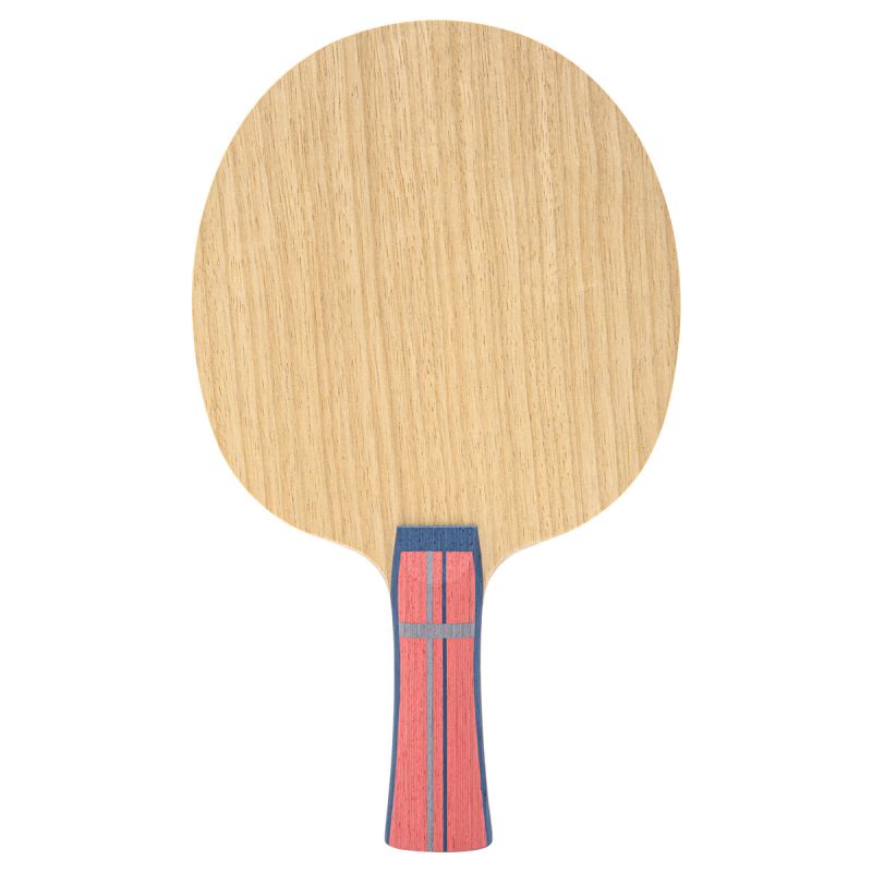 GEWO Holz Celexxis Allround Classic – Bild 3