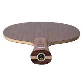 Stiga Holz Destiny Carbon – Bild 3