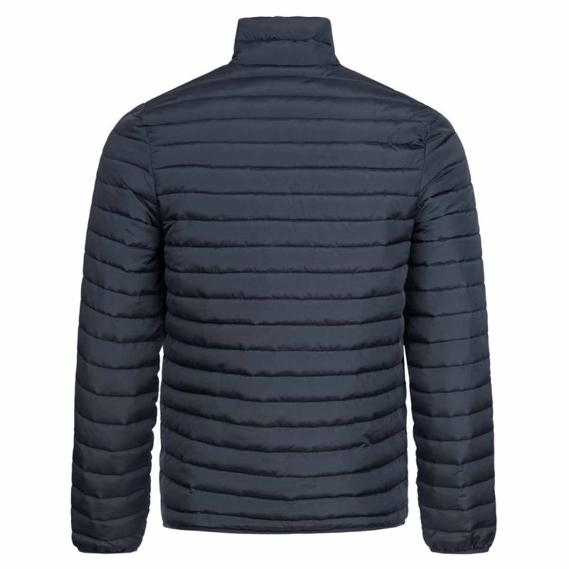 Donic Teamjacke Assist – Bild 2