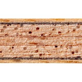 Andro Holz Treiber CO ALL/S – Bild 2